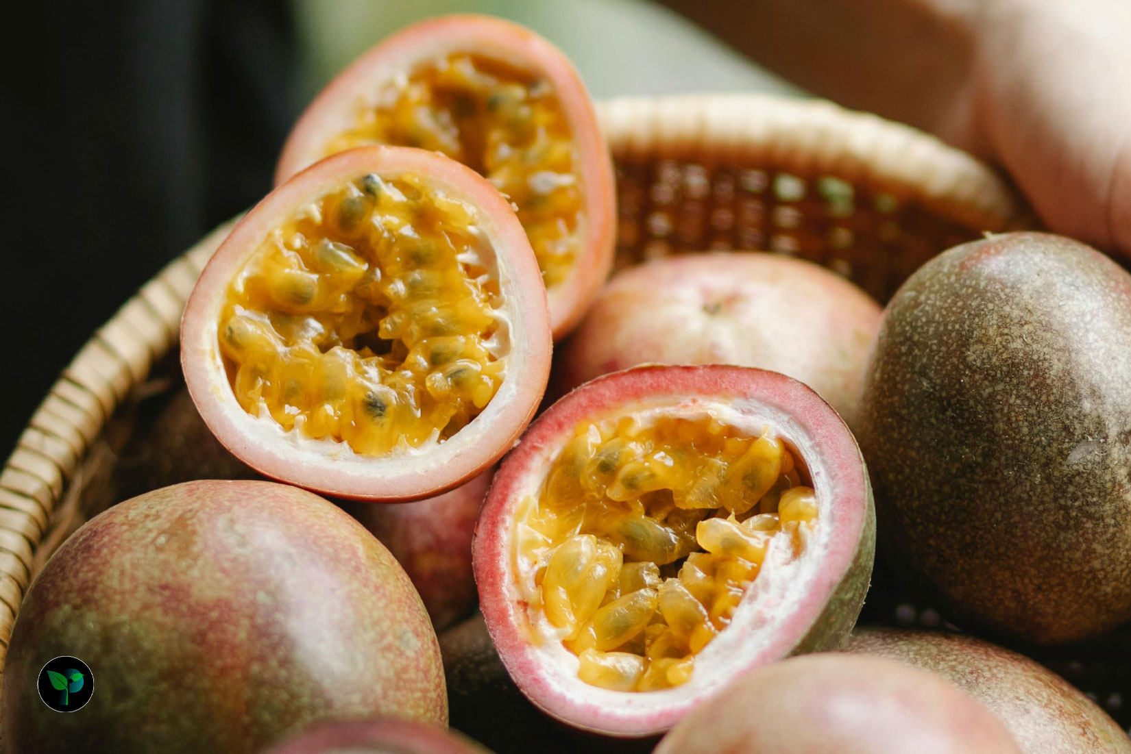 passion fruit