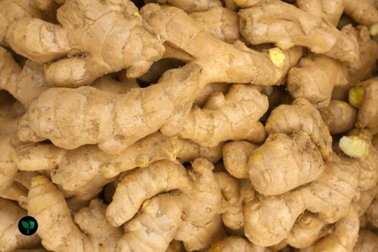 is ginger a good indoor plant