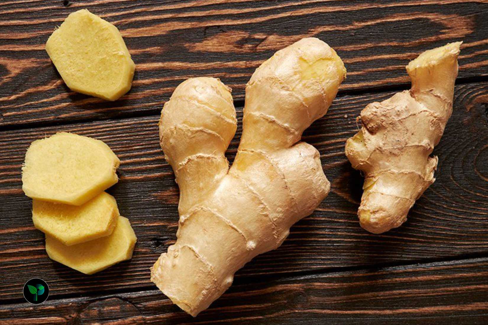 is ginger easy to grow