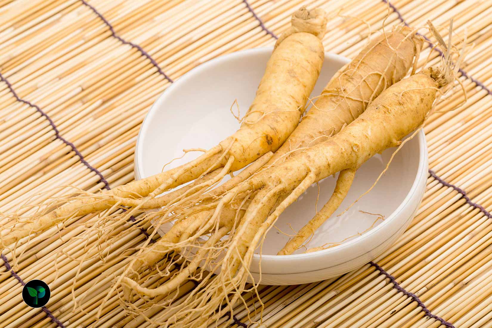 is it ok to take ginseng everyday