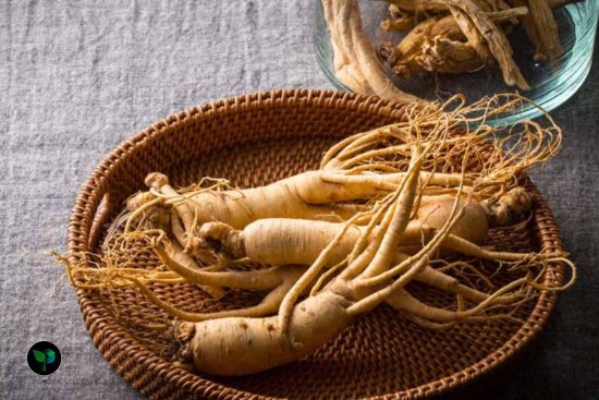 is it ok to take ginseng everyday