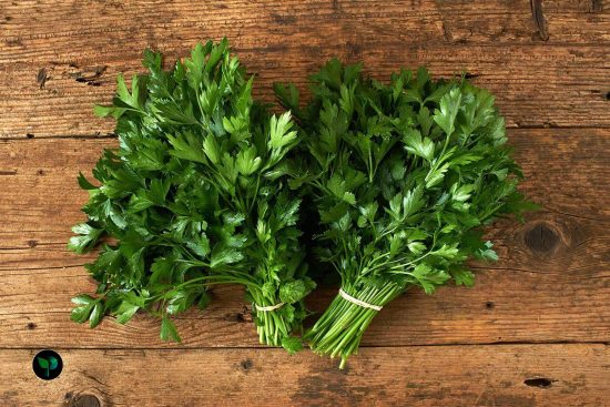 what country does parsley come from