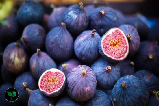 how many figs should you eat a day