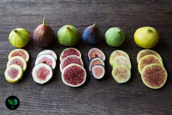 is fig a natural viagra