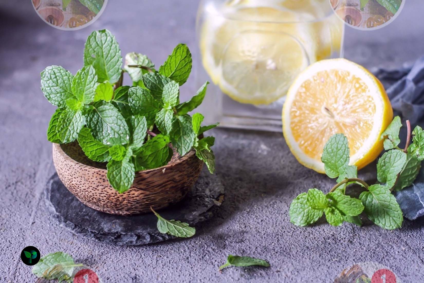 is mint good for skin